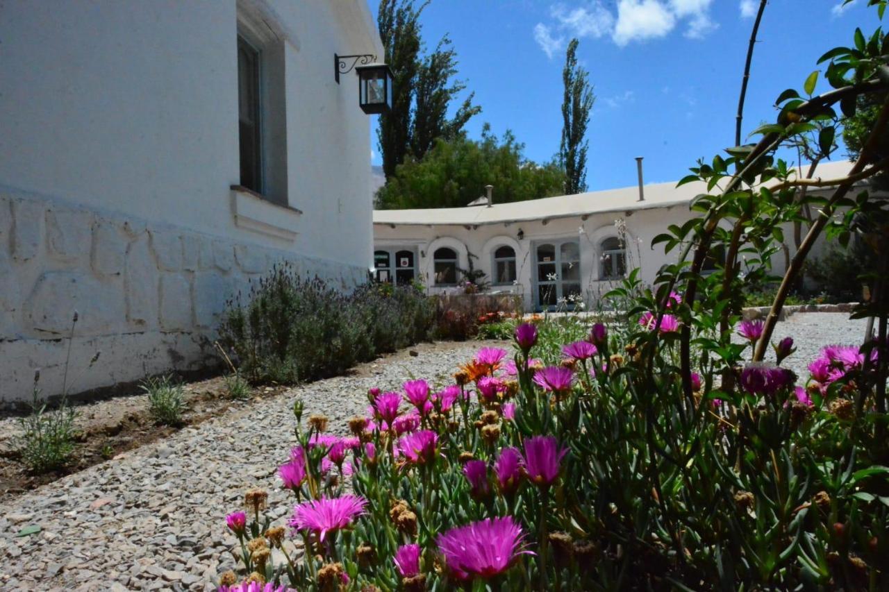 Pumahuasi Hotel Boutique Purmamarca Εξωτερικό φωτογραφία